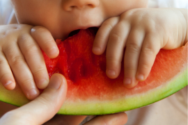 Alimentation bébé bio